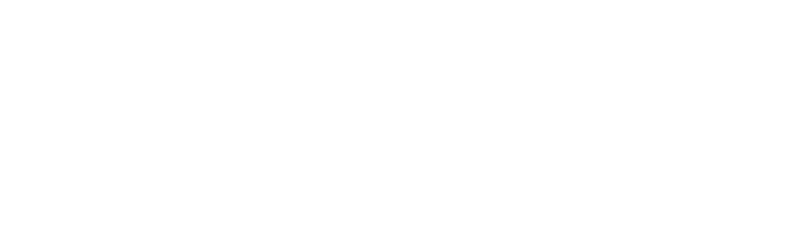 Monkey® Rings External Fixation