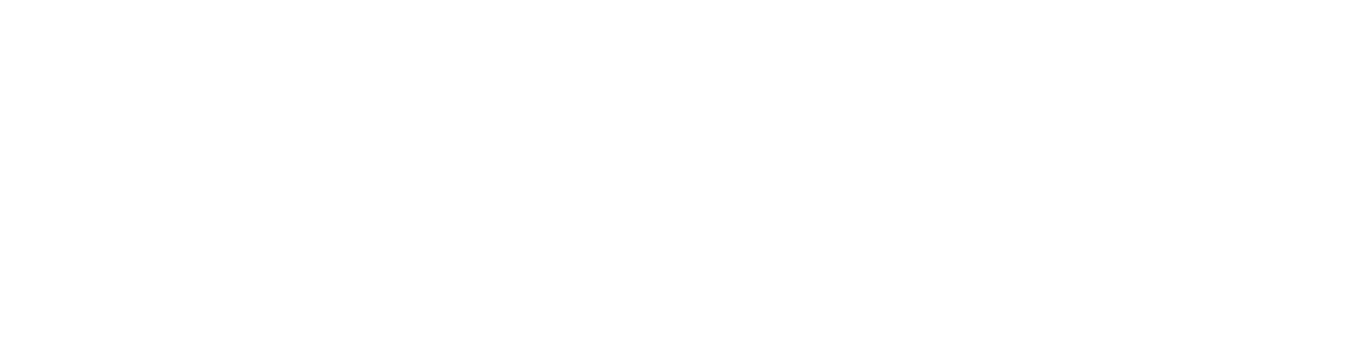 Phantom Intramedullary Nail