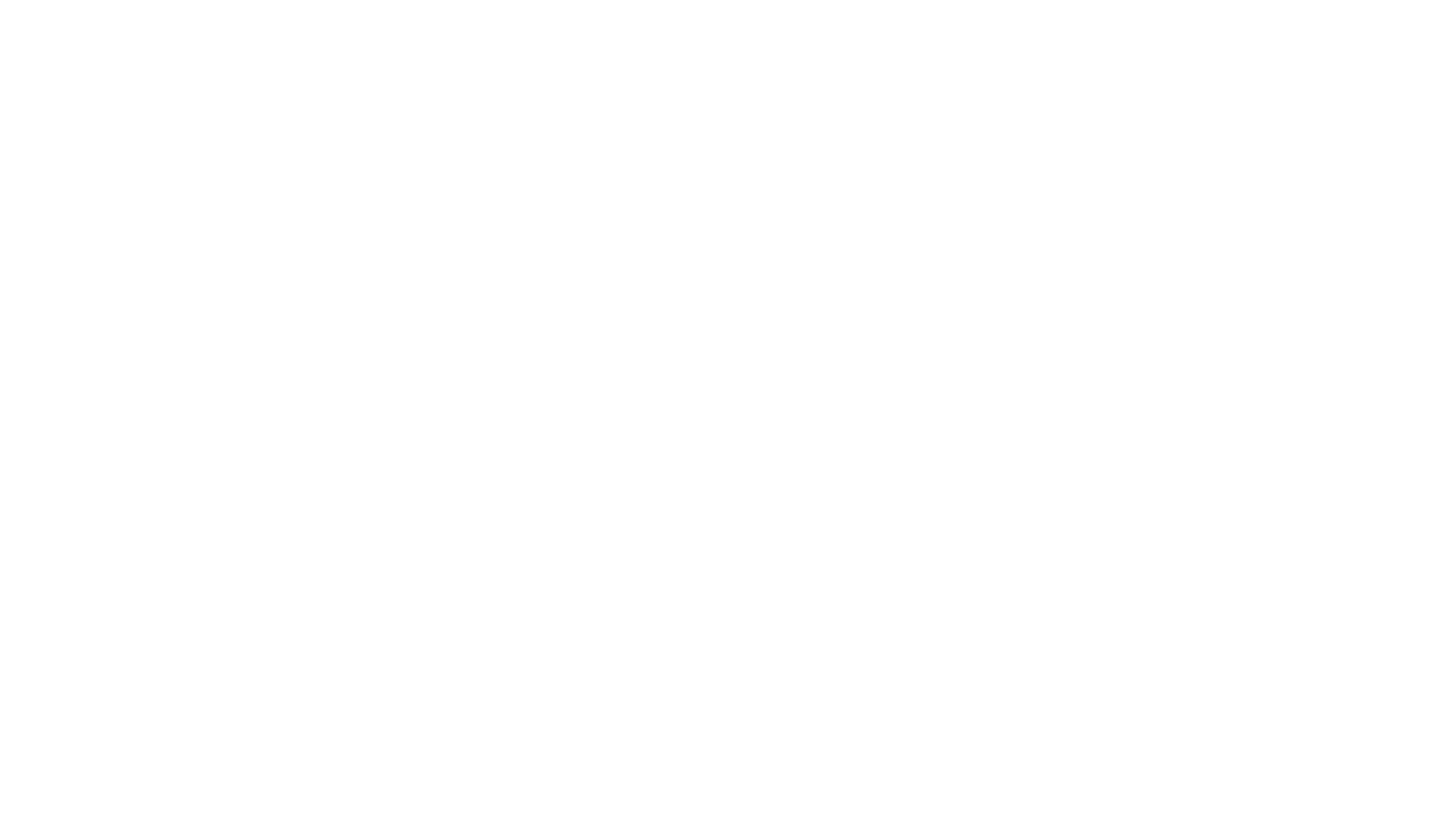 PRECISION MIS Bunion